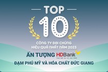 TOP 10 công ty đại chúng hiệu quả nhất năm 2023: Ấn tượng HDBank, Đạm Phú Mỹ  