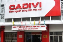 Cadivi tạm ứng cổ tức 30%, Gelex nhận về hơn 162 tỷ đồng