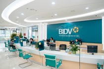 BIDV bán khoản nợ 121 tỷ thế chấp 4.000 m2 đất TPHCM và cổ phiếu DL1