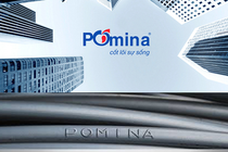 Khi nào Pomina sẽ hết lỗ lũy kế, cổ phiếu thoát diện cảnh báo?