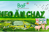 BAF sắp phát hành 68,4 triệu cổ phiếu khi lợi nhuận lao dốc, vay nợ tăng vọt