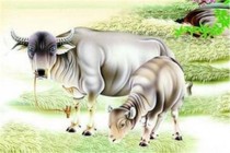 Dự đoán ngày mới 8/10/2024 cho 12 con giáp: Sửu đam mê, Tý lận đận 