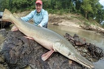Rùng mình quái ngư gần 160 kg, mõm giống cá sấu, răng sắc như dao