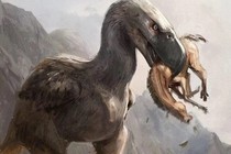 Phát hiện hóa thạch 12 triệu tuổi, hé mở bí mật về loài 'chim khủng bố'