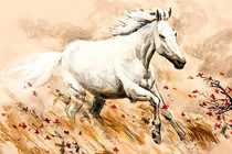 Tử vi tuần mới (9 - 15/12): 3 con giáp hạnh phúc ngút trời, duyên cực vượng 