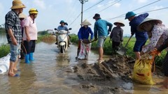 Công bố tình huống khẩn cấp sạt lở đê ở Chương Mỹ, Hà Nội