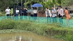 Liên hiệp các Hội KH&KT Đà Nẵng chủ trì dự án nuôi cá diếc thương phẩm