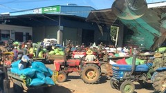 Đắk Lắk: Giá cà phê lên đỉnh lịch sử, nông dân xếp hàng đi bán