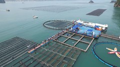 Quảng Ninh xin làm dự án trong vùng đệm Vịnh Hạ Long
