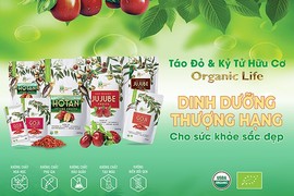 Chọn táo đỏ kỷ tử organic sao cho an toàn?