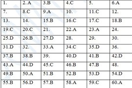 Gợi ý đáp án đề thi môn Vật lý khối A, A1 2013