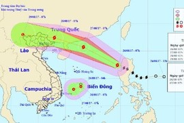 Bão số 7 mạnh cấp 10-12 gây mưa lớn cho Việt Nam