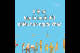 Video: Tại sao bạn bị muỗi đốt nhiều hơn người khác? 