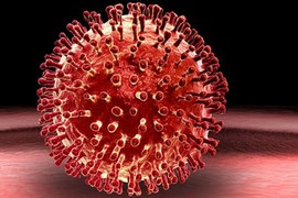 Những loại virus nguy hiểm hơn khi tấn công cơ thể vào buổi sáng