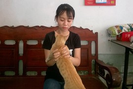 Tranh cãi vụ cô gái bị bỏ lại giữa đêm do mang mèo lên xe