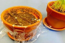 11 mẹo cực hot với màng bọc thực phẩm