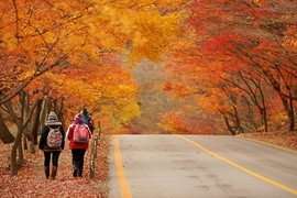 Mách bạn điểm chụp ảnh mùa thu Hàn Quốc đẹp lung linh