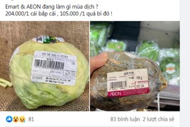 Bắp cải 250.000 đồng/kg trong mùa dịch: Ngã ngửa khi biết sự thật