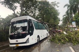 Hà Nội: Đảm bảo giao thông khi mưa to, gió lớn 