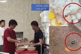 Vụ SV Bách khoa ăn cơm thừa: Bộ GD&ĐT ra công văn “nóng“