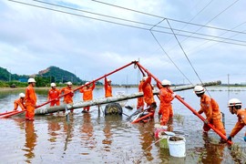 EVN ra công điện về triển khai ứng phó cơn bão số 10