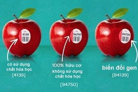 Mua trái cây mã code bắt đầu bằng số 8: Sự thật đáng sợ