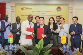 T&T Group dự kiến mua toàn bộ sản lượng hạt điều thô của Guinea Bissau