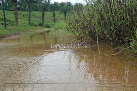 Phú Thọ: Công viên nghìn tỷ thi công xuyên thế kỷ vẫn dở dang