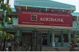 Chuyện lạ Agribank: Không mở tài khoản, 50 triệu vẫn "rơi trúng đầu"