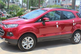 Gần 1000 xe được Ford bán ra trong tháng 2