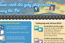 Quy trình đổi giấy phép lái xe sang thẻ PET