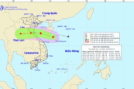 Bão số 4 vào miền Trung, 3 bộ, ngành ban hành công điện “hỏa tốc”