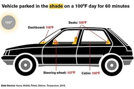Xe ôtô để ngoài trời nắng nóng có thể gây chết người 