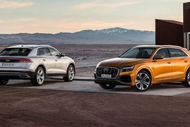 Xe SUV Audi Q8 giá khởi điểm từ 89.224 USD tại Đức