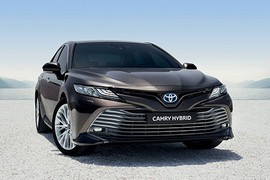 Toyota Camry Hybrid 2019 "tái xuất" tại châu Âu sau 14 năm 