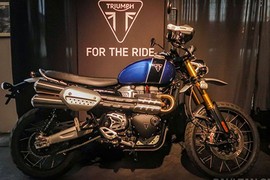 "Soi" Triumph Scrambler 1200 2019 mới giá 460 triệu đồng 