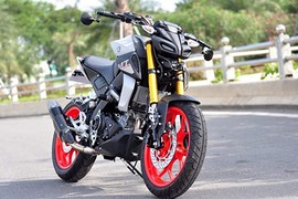 Yamaha MT-15 chính hãng chào bán 78 triệu tại Việt Nam