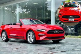 Ford Mustang hơn 3 tỷ làm dâu đất cảng sở hữu biển "Thần tài"