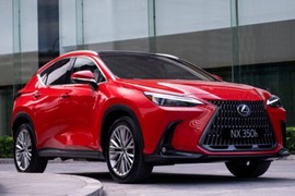 Sau Toyoya Land Cruiser, tới lượt Lexus NX tạm ngừng nhận đặt hàng