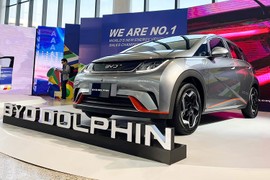 Tận thấy BYD Dolphin - CUV điện từ khoảng hơn 500 triệu tại Việt Nam?