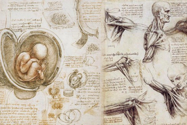 Giật mình tiên đoán “như thần” của Leonardo da Vinci về tương lai