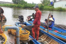 Ngâm mình hàng giờ bắt con hai mảnh dưới sông