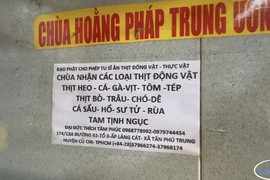 Sự thật về “ngôi chùa nhận thịt sống chó, hổ, sư tử…” ở Sài Gòn