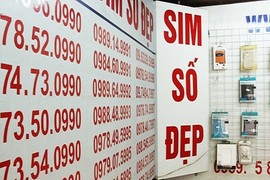 Sim “siêu đẹp” 9 con 8 sẽ được đấu giá