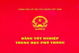 Trưởng ban tổ chức thành ủy bị hủy bằng cấp 3 xin từ chức