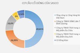 Công ty ba chồng Hà Tăng mới thâu tóm làm ăn ra sao?