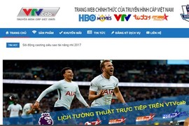 Yêu cầu VTVcab báo cáo việc cắt hàng loạt kênh truyền hình dịch vụ