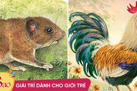 Top 4 con giáp luôn là người hành động trước, rất nhanh nhẹn chuẩn xác