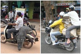 "Lạnh gáy" với màn chở hàng quá khổ của “người vận chuyển” Việt