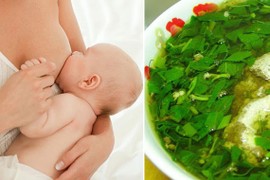 3 món rau lợi sữa và 5 món rau gây hại cho mẹ bỉm 